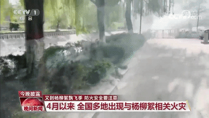 模糊的照片上写着字描述已自动生成